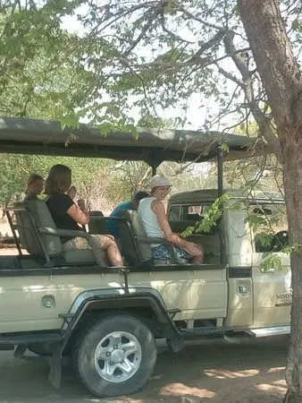 Game Drive and Rhino Walk Livingstone