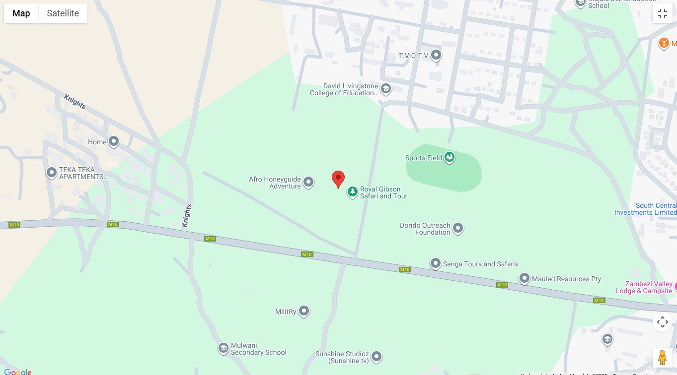 Livingstone City Map